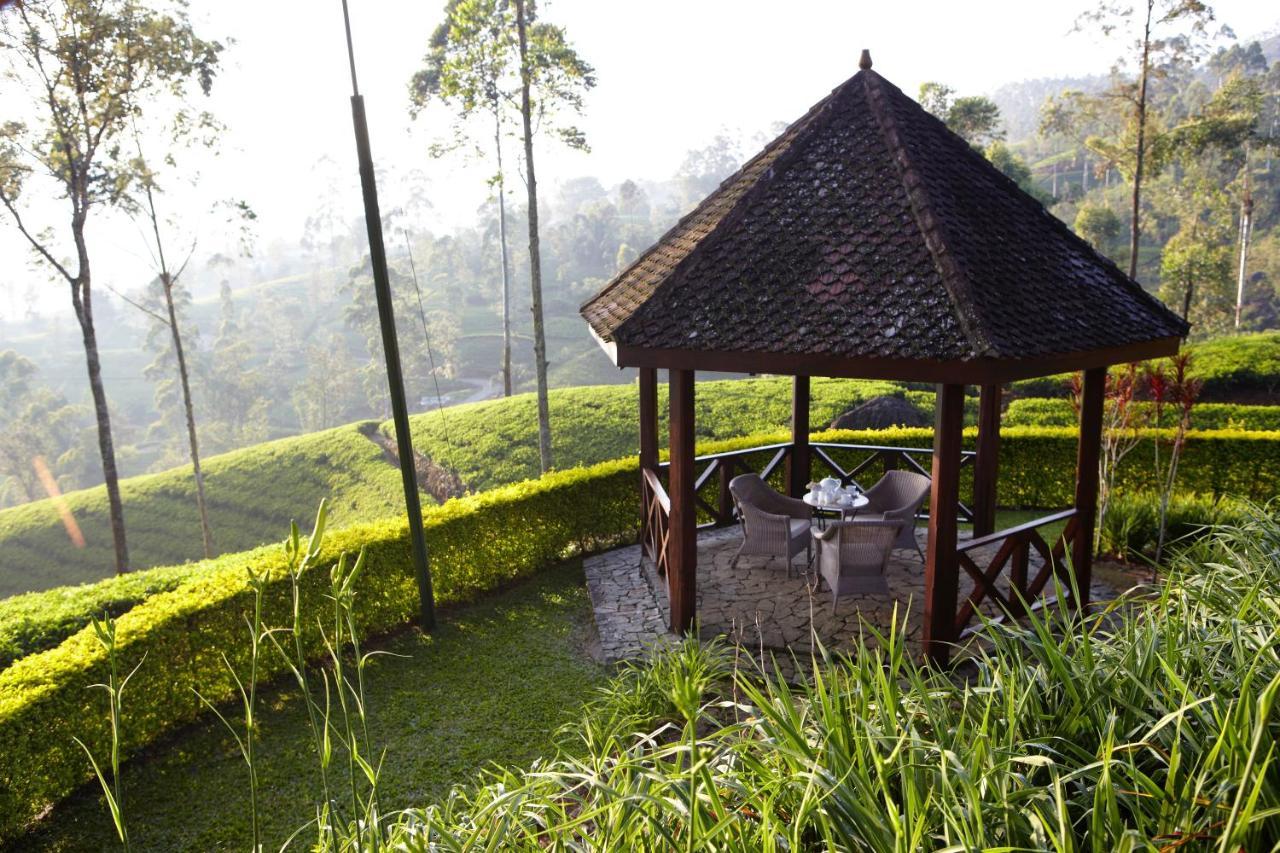 Ceylon Tea Trails - Relais And Chateaux Hatton Luaran gambar