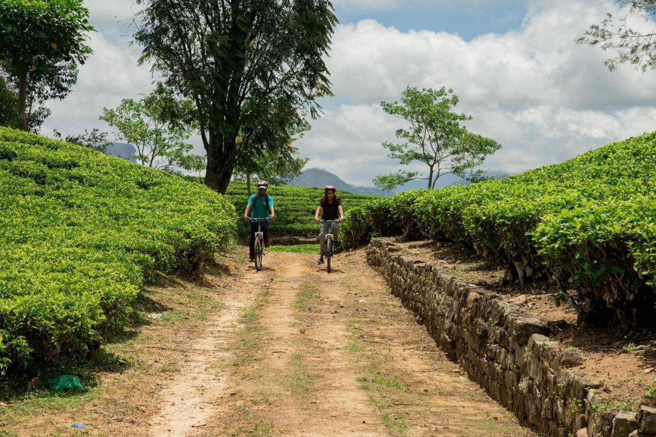 Ceylon Tea Trails - Relais And Chateaux Hatton Luaran gambar